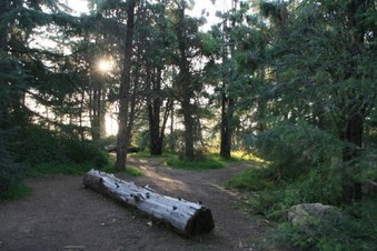 Enlarge photo 17