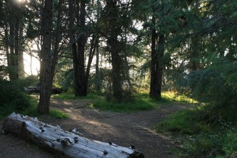 Enlarge photo 16
