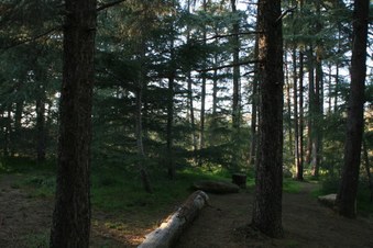 Enlarge photo 15