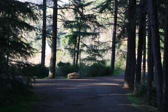 Enlarge photo 14