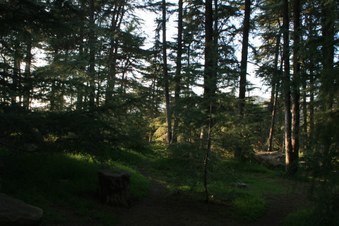 Enlarge photo 13