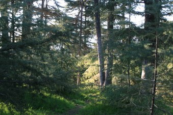 Enlarge photo 12
