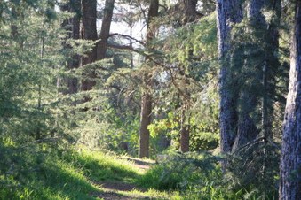 Enlarge photo 7