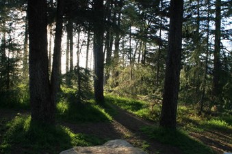 Enlarge photo 5