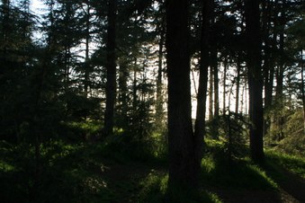 Enlarge photo 4