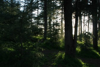 Enlarge photo 3