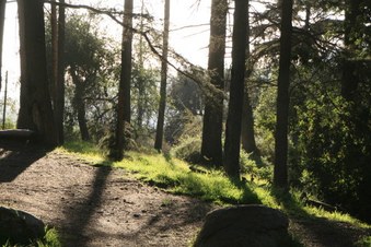 Enlarge photo 2