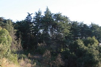 Enlarge photo 45