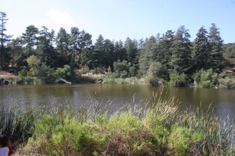 Enlarge photo 2