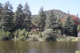 Enlarge photo 4