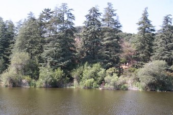 Enlarge photo 10