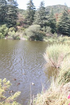 Enlarge photo 14