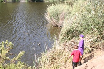 Enlarge photo 15