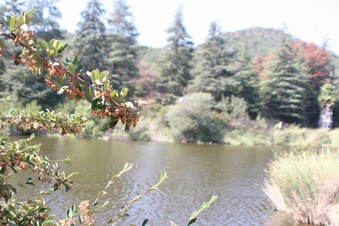 Enlarge photo 16