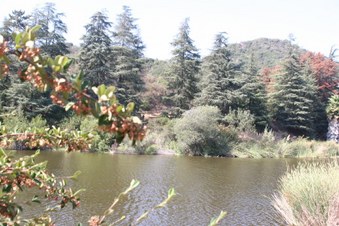 Enlarge photo 17