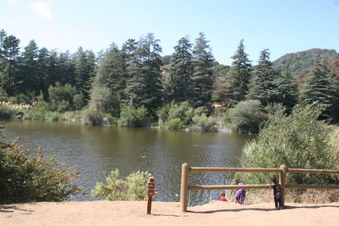 Enlarge photo 18