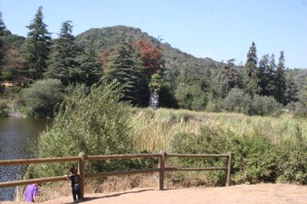 Enlarge photo 19