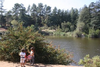 Enlarge photo 20