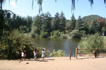 Enlarge photo 22