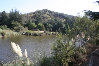 Enlarge photo 23