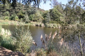 Enlarge photo 24