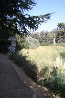 Enlarge photo 25