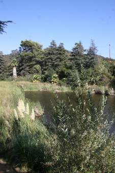 Enlarge photo 26