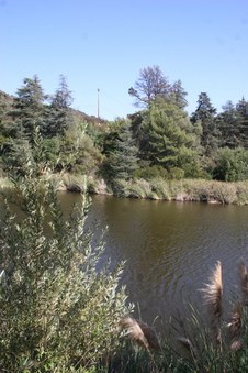 Enlarge photo 27