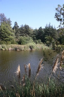 Enlarge photo 28
