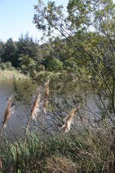 Enlarge photo 29