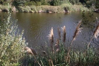 Enlarge photo 30