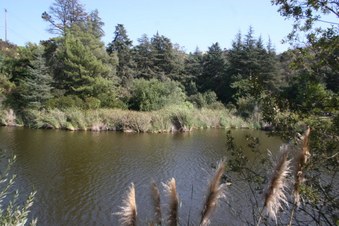 Enlarge photo 31