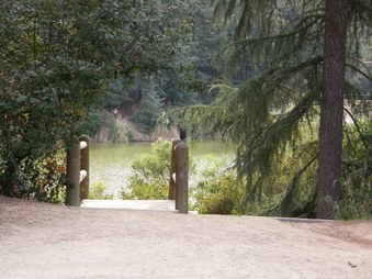 Enlarge photo 33