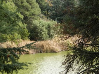 Enlarge photo 34