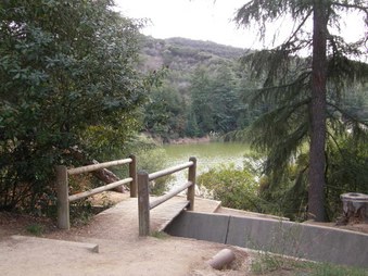 Enlarge photo 35
