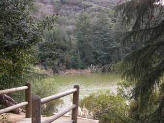 Enlarge photo 36
