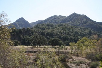 Enlarge photo 14