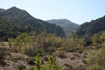 Enlarge photo 15