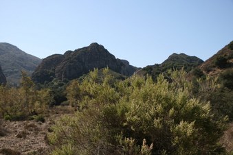 Enlarge photo 16