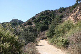 Enlarge photo 17