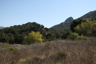 Enlarge photo 18