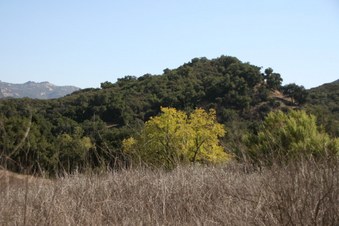 Enlarge photo 19