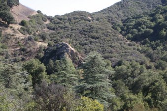 Enlarge photo 20