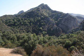 Enlarge photo 22