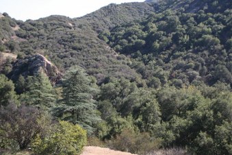 Enlarge photo 23