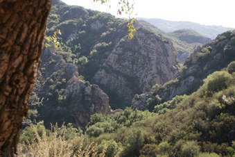 Enlarge photo 24