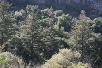 Enlarge photo 26
