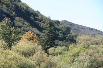 Enlarge photo 28