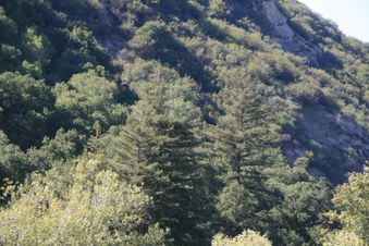 Enlarge photo 29