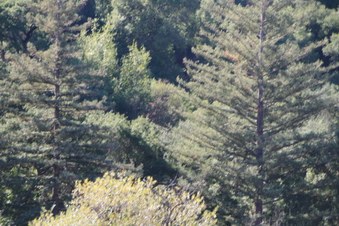 Enlarge photo 30
